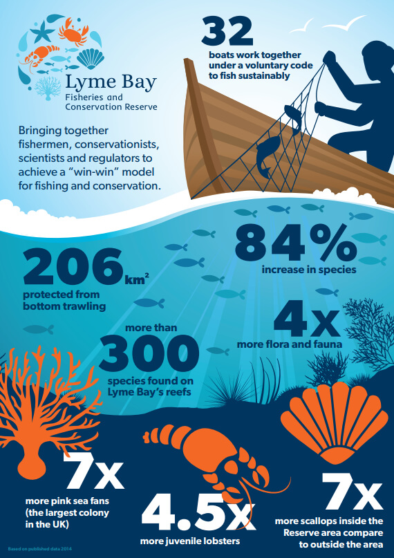 Lyme Bay Science Infographic